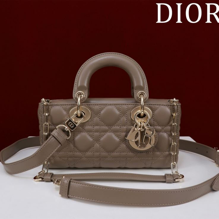 chr1st1an D10r my lady bags